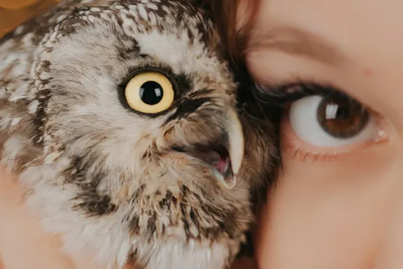 Casino AllStar Slots Suporte